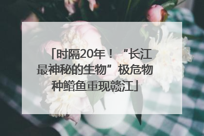时隔20年！“长江最神秘的生物”极危物种鳤鱼重现赣江
