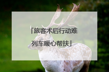 旅客术后行动难 列车暖心帮扶