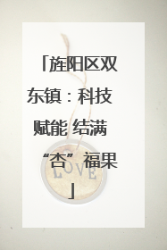 旌阳区双东镇：科技赋能 结满“杏”福果