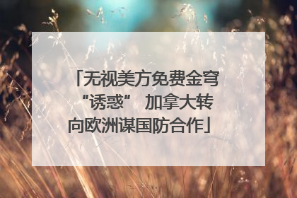 无视美方免费金穹“诱惑” 加拿大转向欧洲谋国防合作