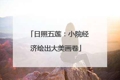 日照五莲：小院经济绘出大美画卷