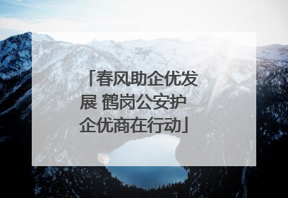 春风助企优发展 鹤岗公安护企优商在行动
