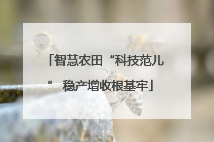 智慧农田“科技范儿” 稳产增收根基牢