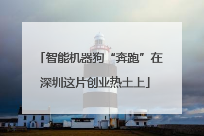 智能机器狗“奔跑”在深圳这片创业热土上
