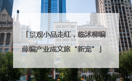景观小品走红，临沭柳编藤编产业成文旅“新宠”