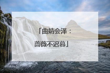 曲靖会泽：蔷薇不迟暮