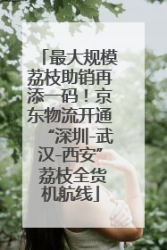 最大规模荔枝助销再添一码！京东物流开通“深圳-武汉-西安” 荔枝全货机航线