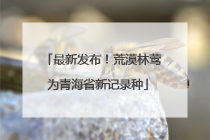 最新发布！荒漠林莺为青海省新记录种