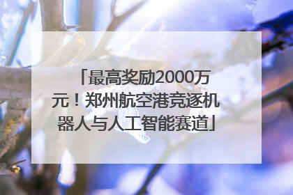 最高奖励2000万元！郑州航空港竞逐机器人与人工智能赛道