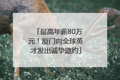 最高年薪80万元！厦门向全球英才发出诚挚邀约
