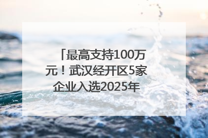 最高支持100万元！武汉经开区5家企业入选2025年度武汉市重点研发计划拟立项项目名单