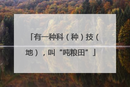 有一种科（种）技（地），叫“吨粮田”