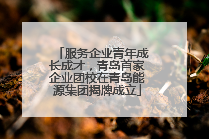 服务企业青年成长成才，青岛首家企业团校在青岛能源集团揭牌成立