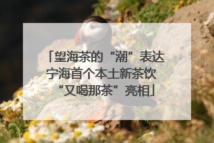 望海茶的“潮”表达 宁海首个本土新茶饮“又喝那茶”亮相
