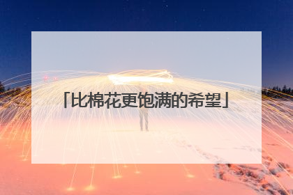 比棉花更饱满的希望