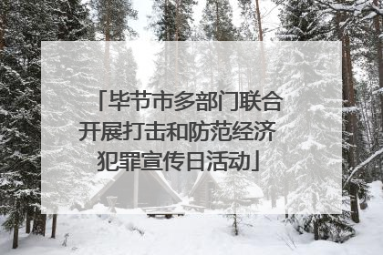 毕节市多部门联合开展打击和防范经济犯罪宣传日活动