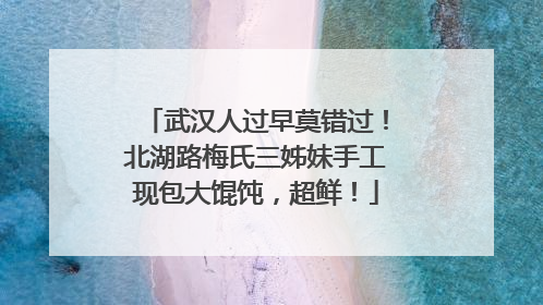 武汉人过早莫错过！北湖路梅氏三姊妹手工现包大馄饨，超鲜！