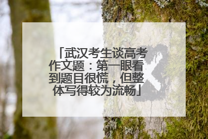 武汉考生谈高考作文题：第一眼看到题目很慌，但整体写得较为流畅