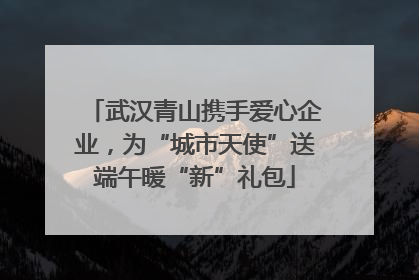 武汉青山携手爱心企业，为“城市天使”送端午暖“新”礼包