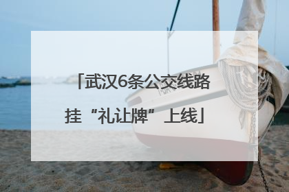 武汉6条公交线路挂“礼让牌”上线