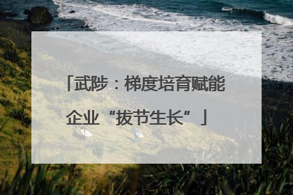 武陟：梯度培育赋能企业“拔节生长”
