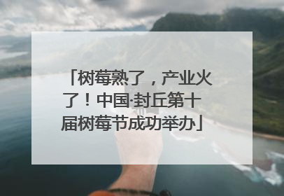 树莓熟了，产业火了！中国·封丘第十届树莓节成功举办