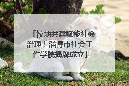校地共建赋能社会治理！淄博市社会工作学院揭牌成立