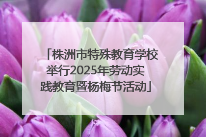 株洲市特殊教育学校举行2025年劳动实践教育暨杨梅节活动
