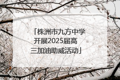 株洲市九方中学开展2025届高三加油助威活动