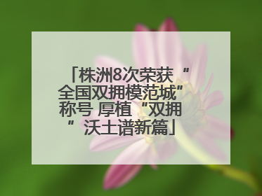 株洲8次荣获“全国双拥模范城”称号 厚植“双拥”沃土谱新篇