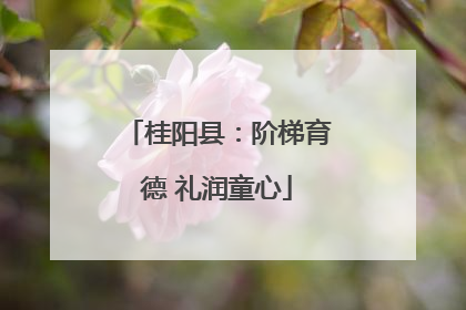 桂阳县：阶梯育德 礼润童心