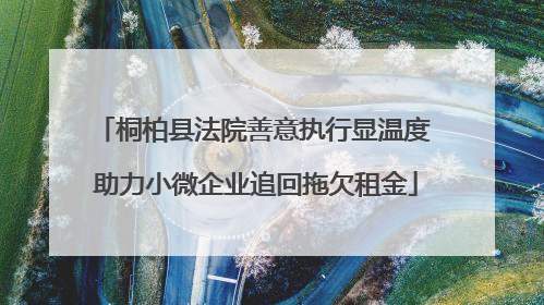 桐柏县法院善意执行显温度 助力小微企业追回拖欠租金
