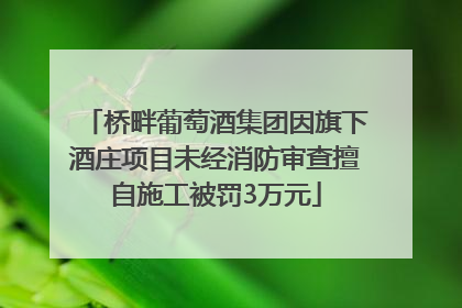 桥畔葡萄酒集团因旗下酒庄项目未经消防审查擅自施工被罚3万元