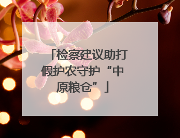 检察建议助打假护农守护“中原粮仓”