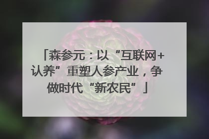 森参元：以“互联网+认养”重塑人参产业，争做时代“新农民”