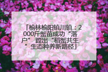 榆林榆阳镇川镇：2000斤蟹苗成功“落户” 蹚出“稻蟹共生”生态种养新路径