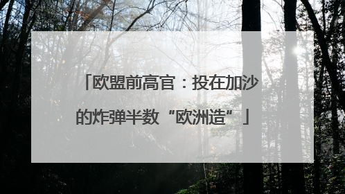 欧盟前高官：投在加沙的炸弹半数“欧洲造”