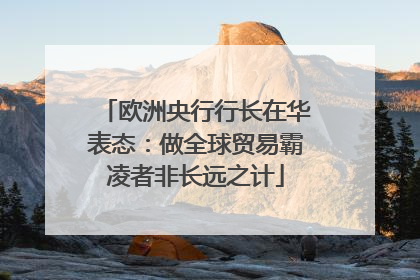 欧洲央行行长在华表态：做全球贸易霸凌者非长远之计