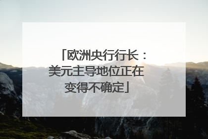 欧洲央行行长：美元主导地位正在变得不确定