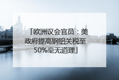 欧洲议会官员：美政府提高钢铝关税至50%毫无道理