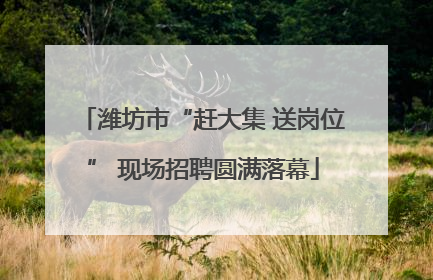 潍坊市“赶大集 送岗位” 现场招聘圆满落幕