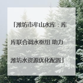 潍坊市牟山水库：库库联合调水枢纽 助力潍坊水资源优化配置