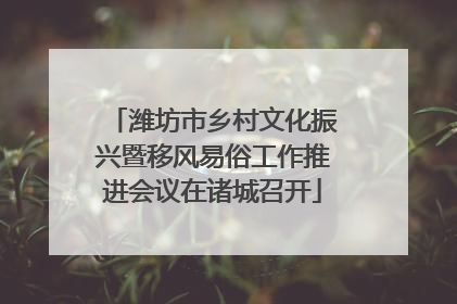 潍坊市乡村文化振兴暨移风易俗工作推进会议在诸城召开