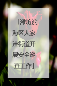 潍坊滨海区大家洼街道开展安全巡查工作