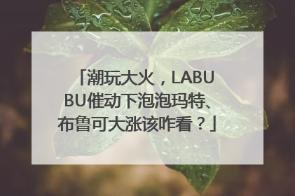 潮玩大火，LABUBU催动下泡泡玛特、布鲁可大涨该咋看？