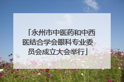 永州市中医药和中西医结合学会眼科专业委员会成立大会举行