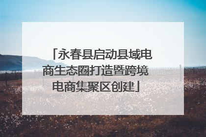 永春县启动县域电商生态圈打造暨跨境电商集聚区创建