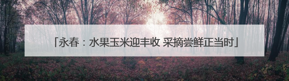 永春：水果玉米迎丰收 采摘尝鲜正当时