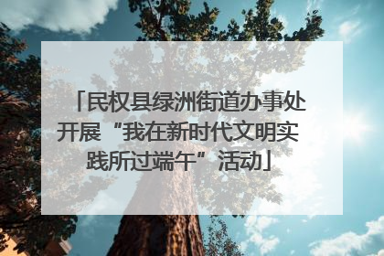 民权县绿洲街道办事处开展“我在新时代文明实践所过端午”活动
