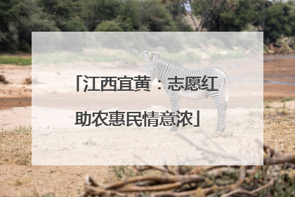江西宜黄：志愿红助农惠民情意浓
